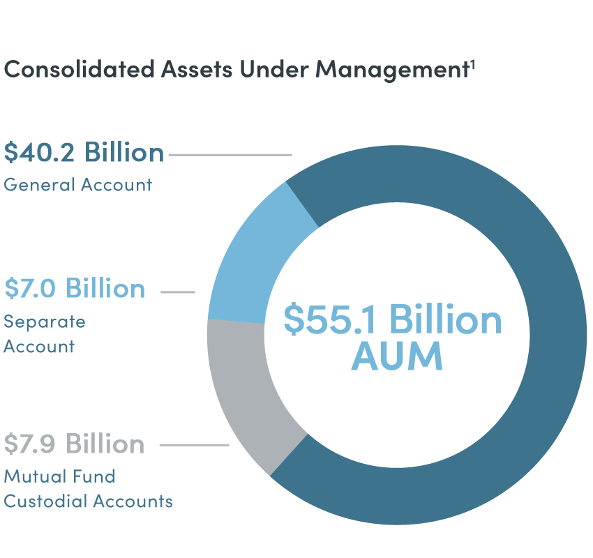 $55.1 Billion AUM graphic