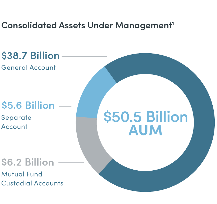 $38.7 Billion – General Account $5.6 Billion – Separate Account $6.2 Billion – Mutual Fund Custodial Accounts $50.5 Billion – AUM